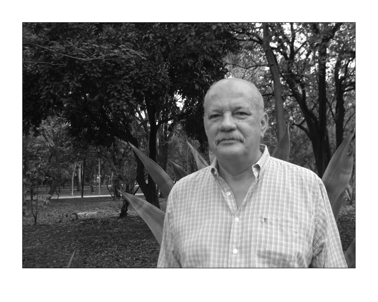 Oscar M. Landeros Barba 2006-2008