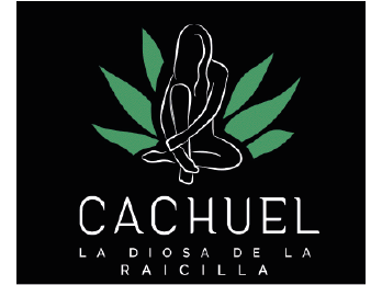 Cachuel Raicillamaximiliana1